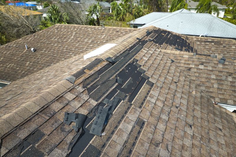 Roof Repair